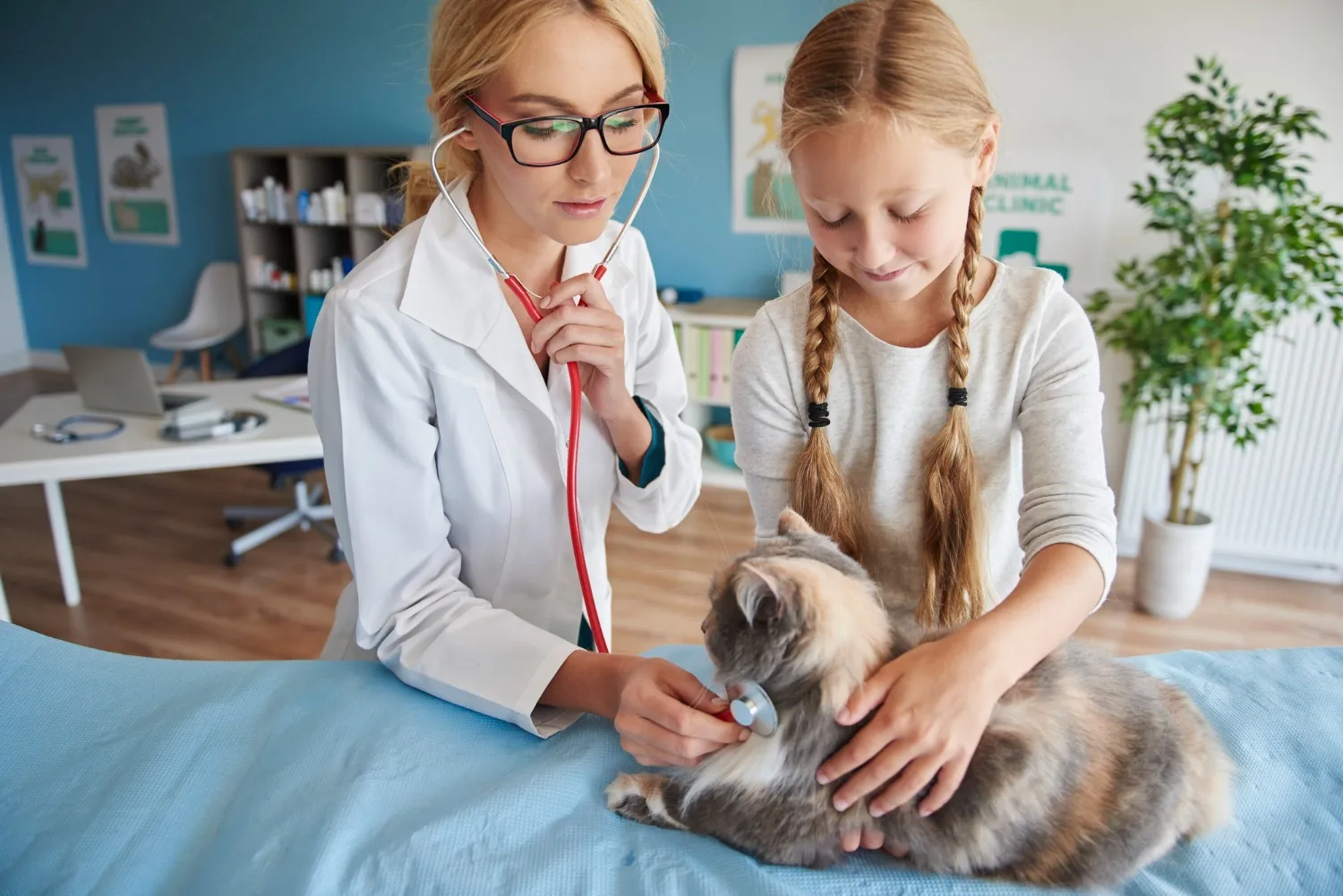 Veterinářka poslouchá stetoskopem kočku, kterou na stole drží dívka