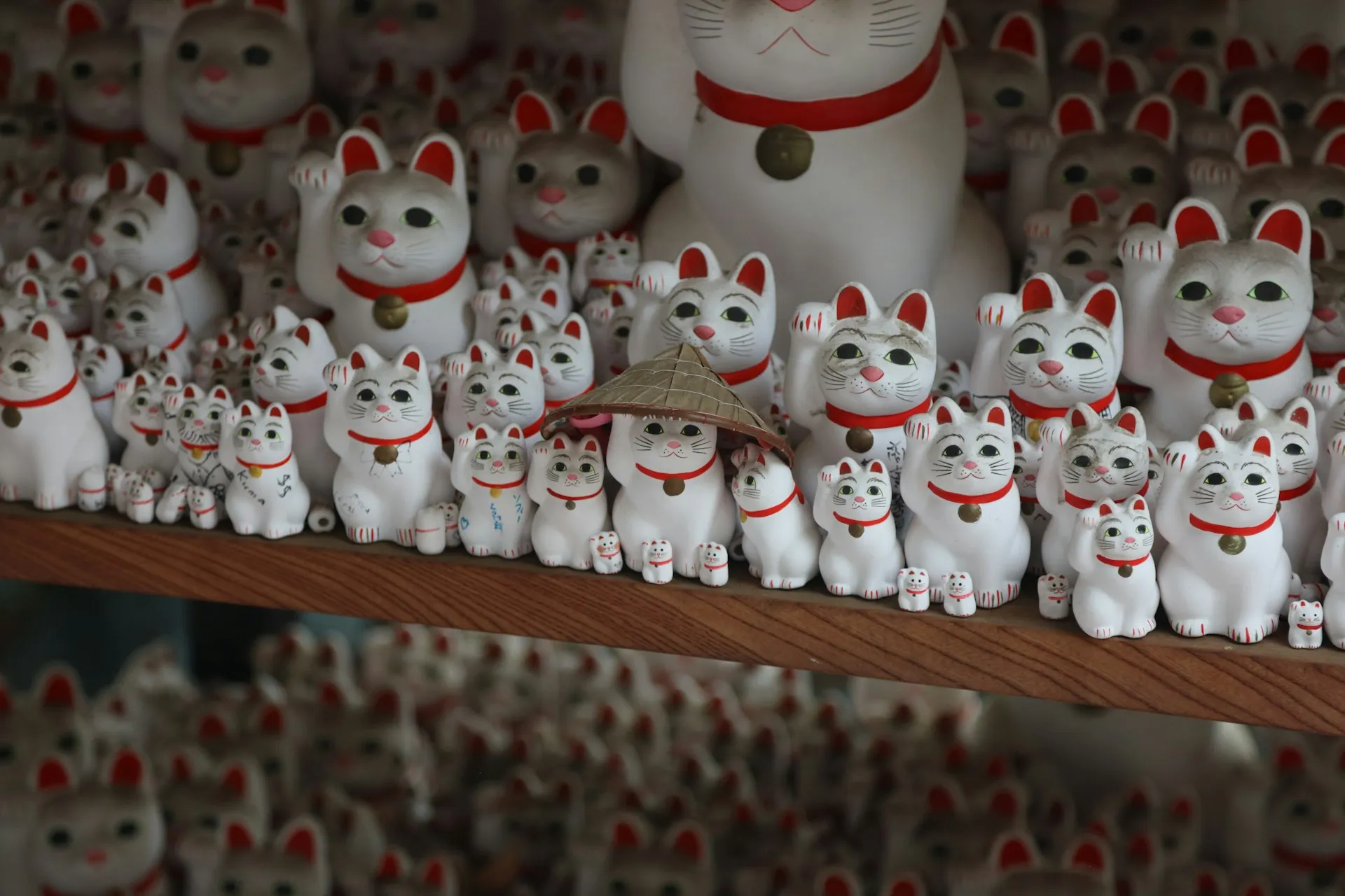 Police plná bílých japonských figurek kočiček s červeným obojkem a zvednutou tlapkou